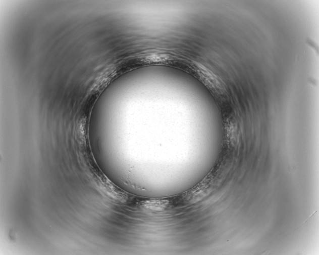 X0000093760373200710301149