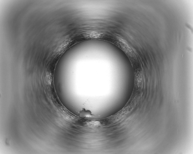 X0000093760374200710301149