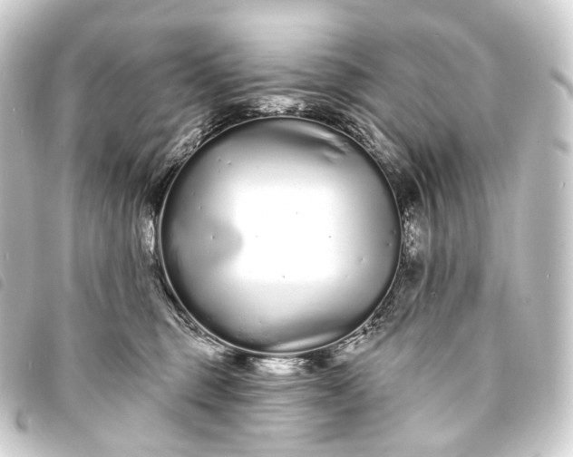 X0000093760375200710301149