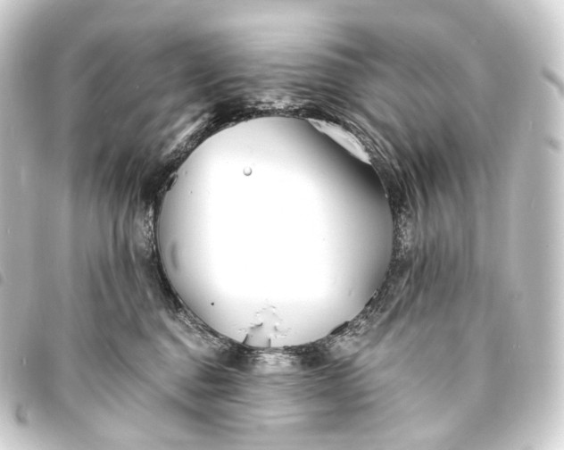 X0000093760376200710301149