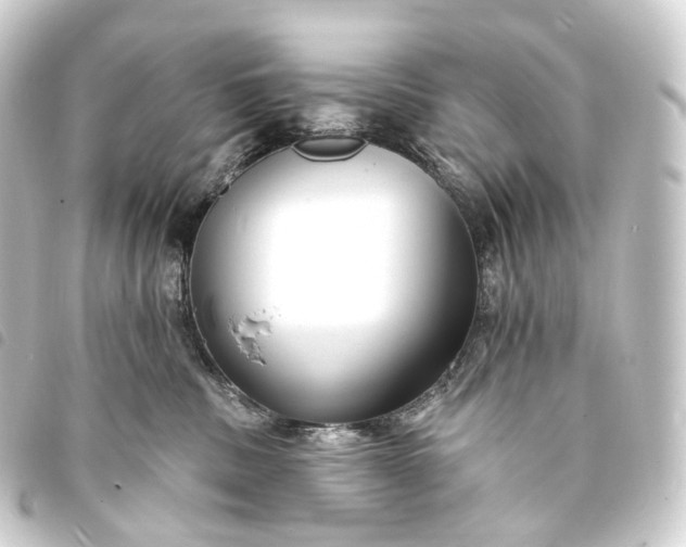 X0000093760379200710301149