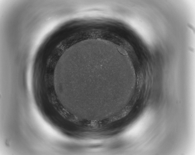 X0000093760383200710301149