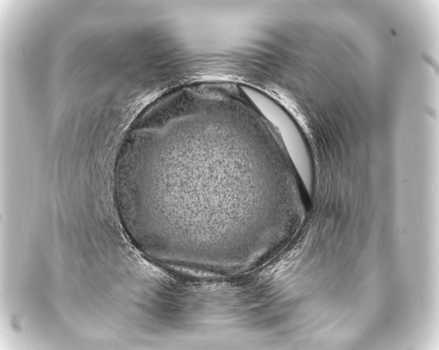 X0000093760385200710301149