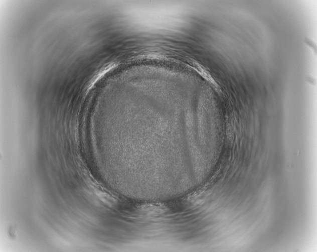 X0000093760386200710301149