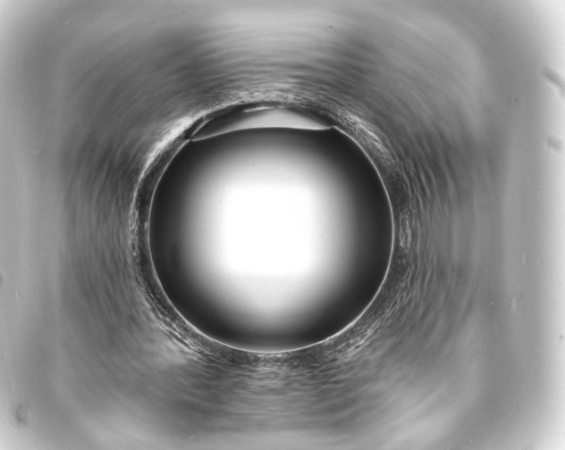 X0000093760388200710301149