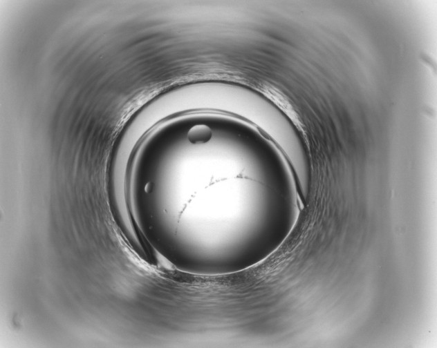 X0000093760389200710301149