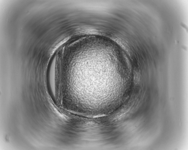 X0000093760390200710301149