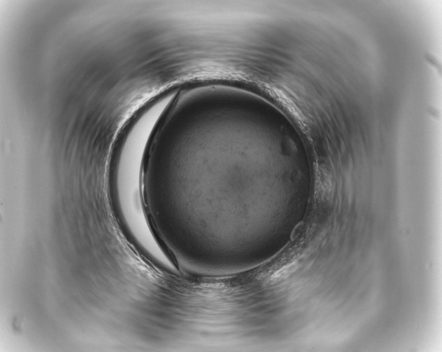 X0000093760391200710301149