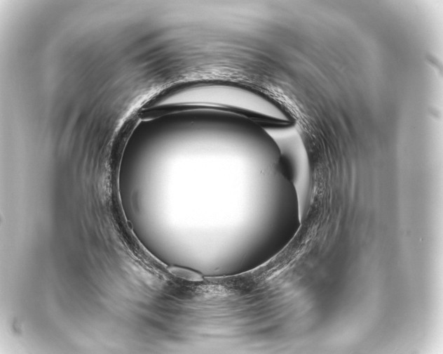 X0000093760392200710301149