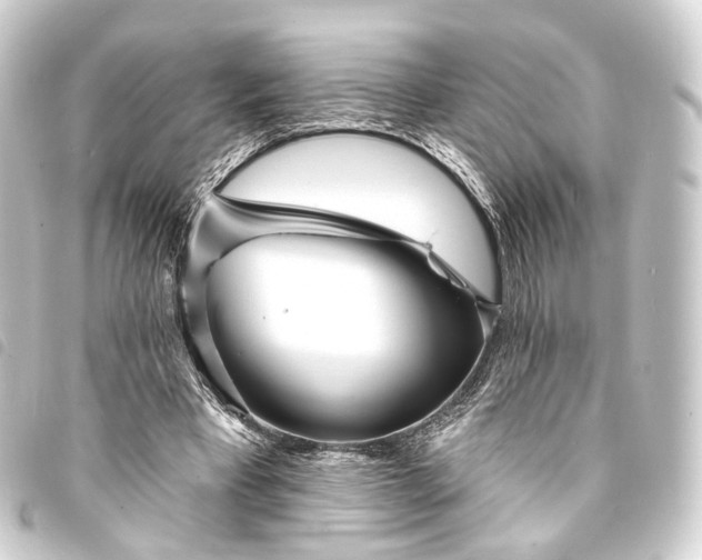 X0000093760393200710301149