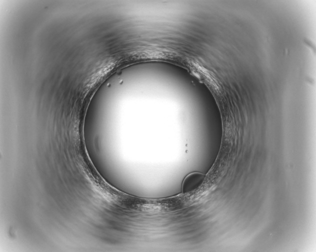 X0000093760394200710301149