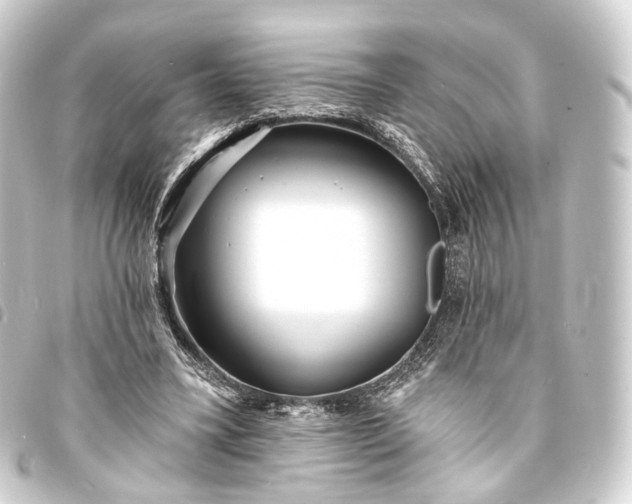 X0000093760395200710301149