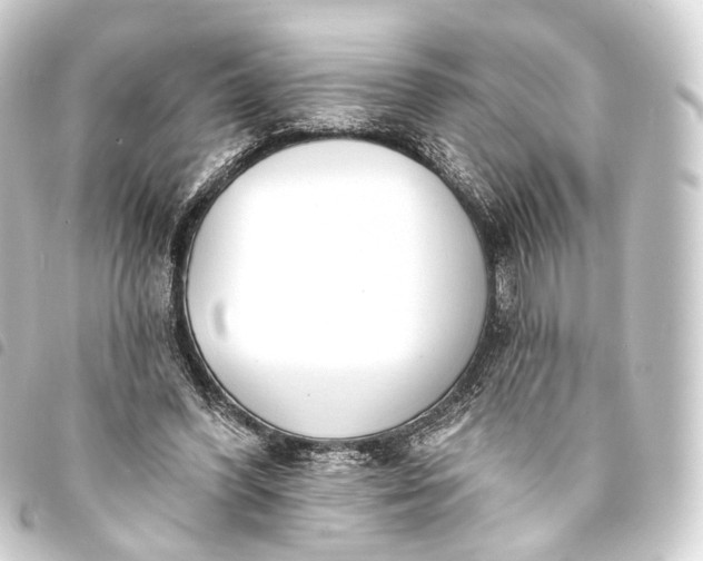 X0000093760396200710301149