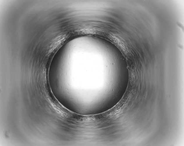 X0000093760398200710301149