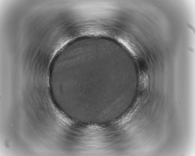 X0000093760399200710301149