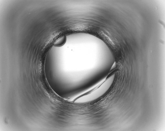 X0000093760400200710301149