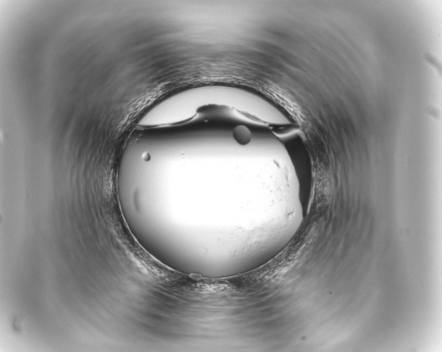 X0000093760401200710301149