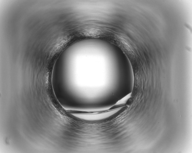 X0000093760404200710301149