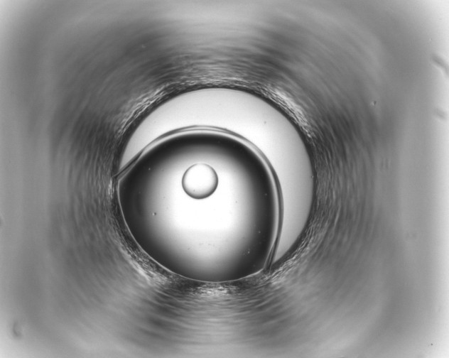 X0000093760405200710301149