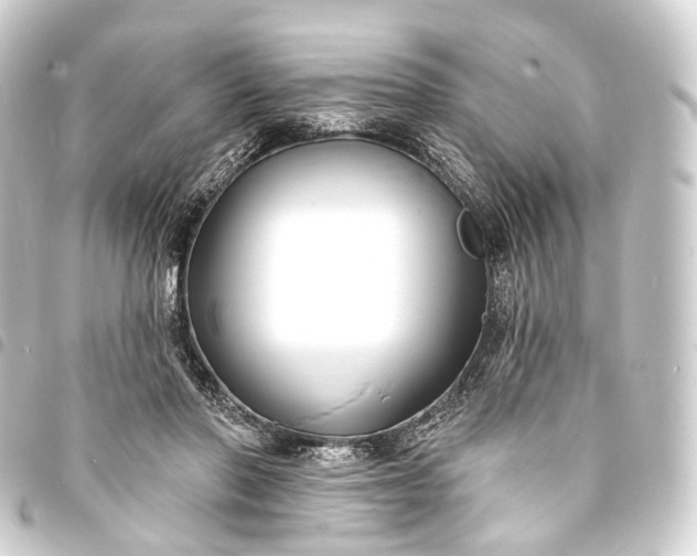 X0000093760406200710301149