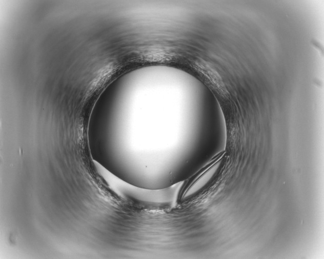 X0000093760407200710301149