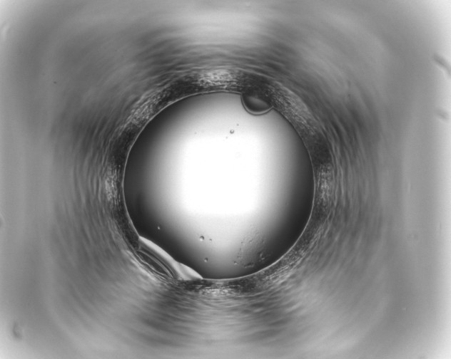 X0000093760408200710301149