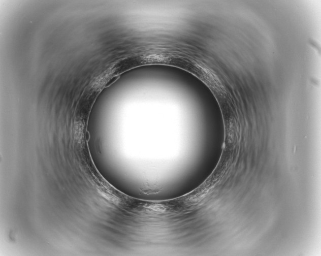 X0000093760409200710301149