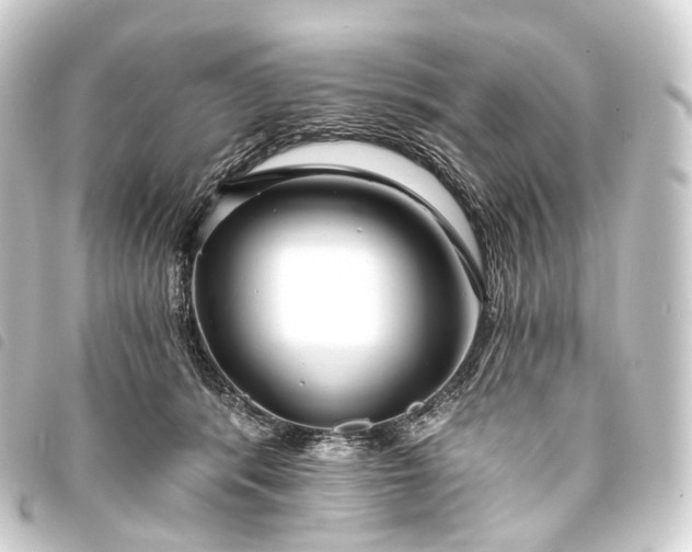 X0000093760416200710301148