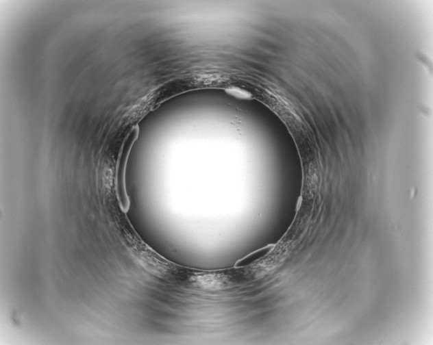 X0000093760417200710301148