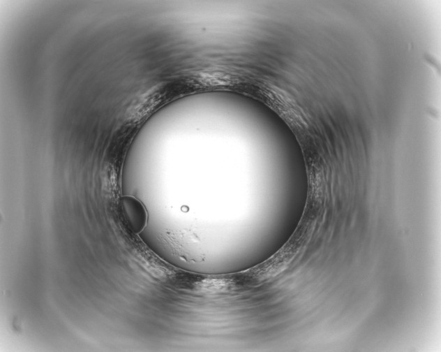 X0000093760418200710301148