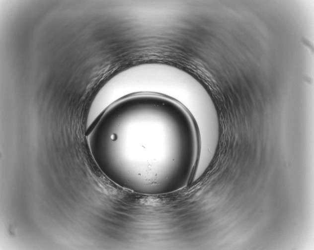 X0000093760419200710301148