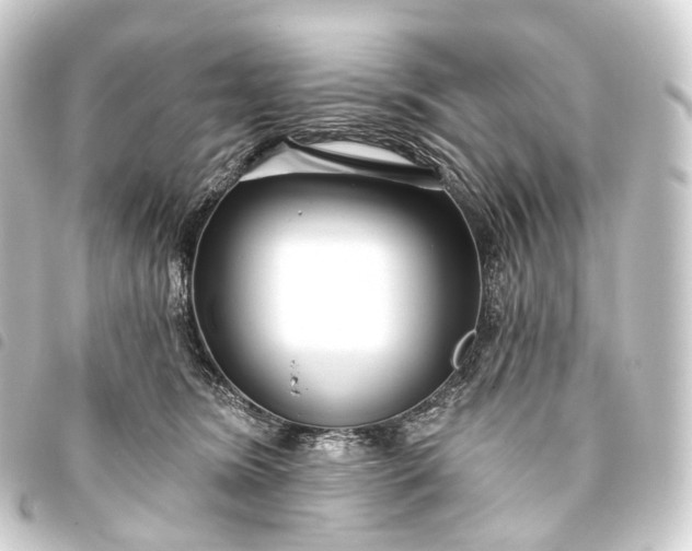 X0000093760420200710301148