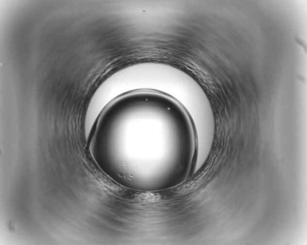 X0000093760421200710301148