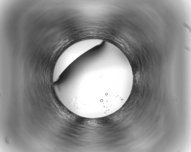 X0000093760423200710301148