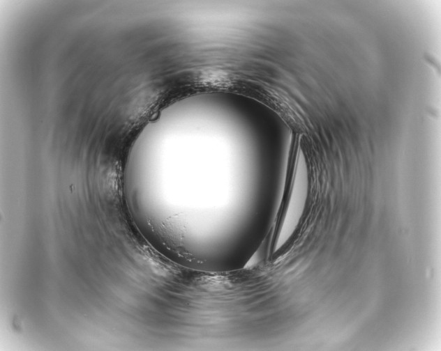 X0000093760424200710301148