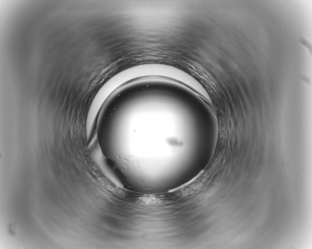 X0000093760425200710301148