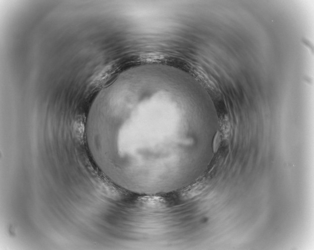 X0000093760427200710301148