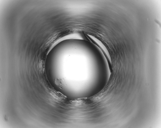 X0000093760428200710301148