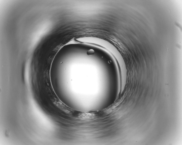 X0000093760429200710301148