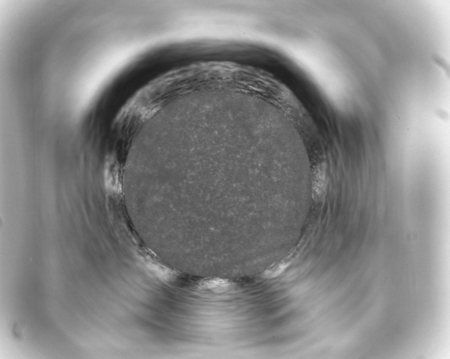 X0000093760431200710301148