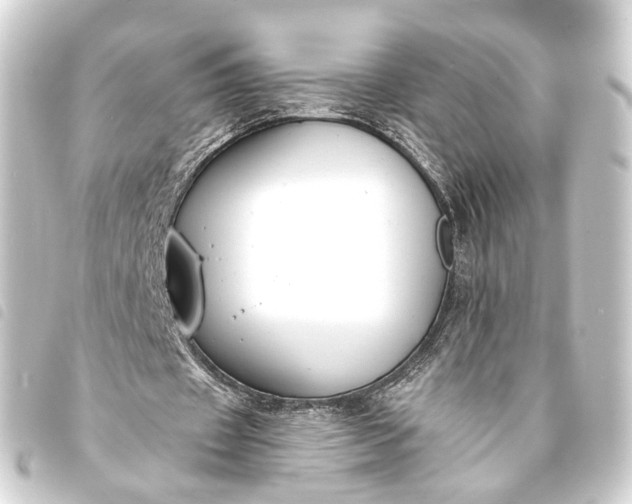 X0000093760433200710301148