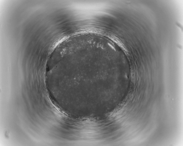 X0000093760434200710301148