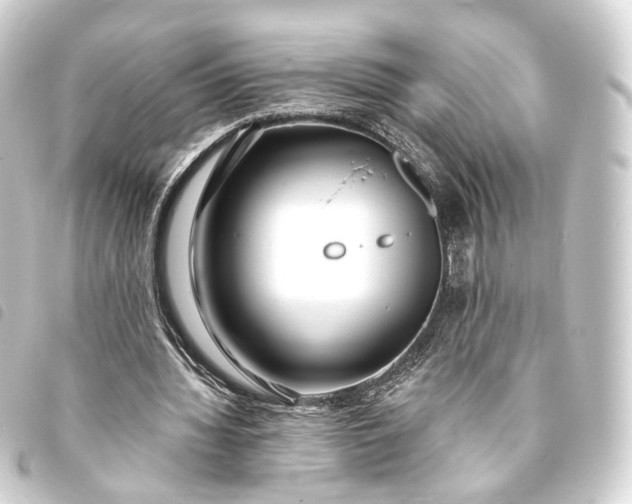 X0000093760436200710301148