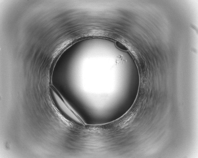 X0000093760437200710301148