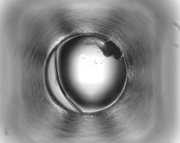 X0000093760438200710301148