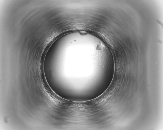 X0000093760439200710301148