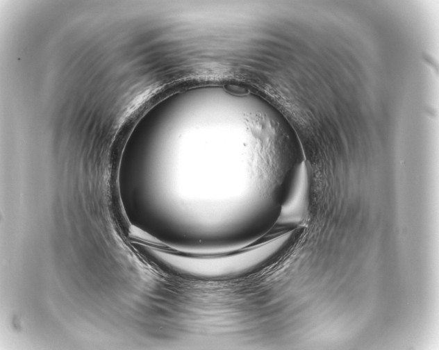 X0000093760440200710301148