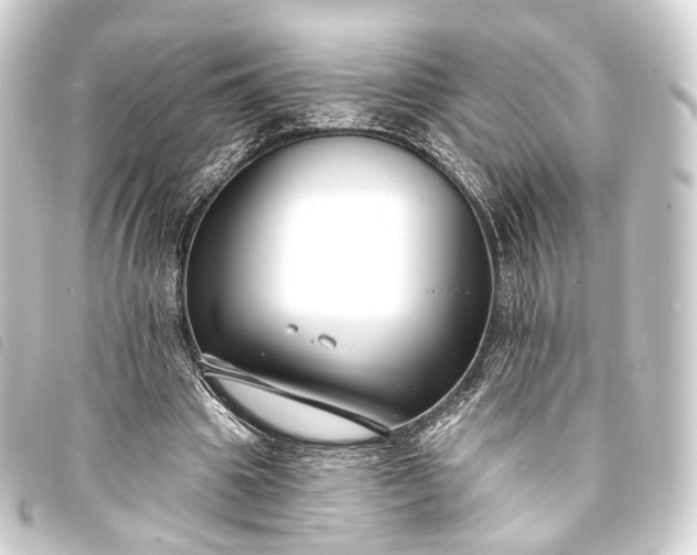 X0000093760441200710301148