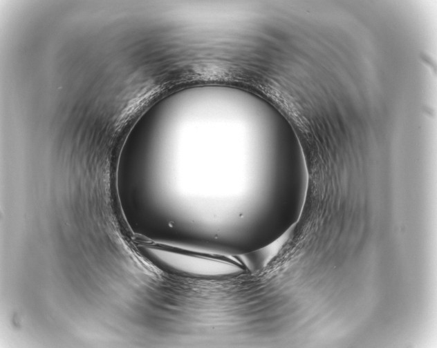 X0000093760442200710301148