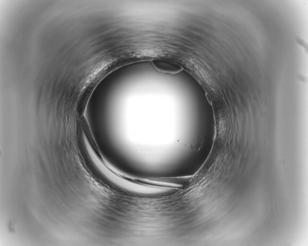 X0000093760444200710301148